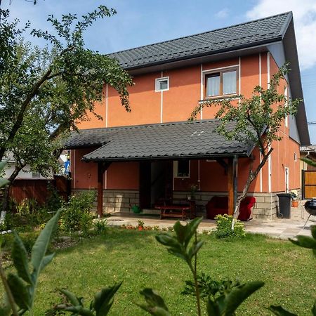 Generous Family Home Vişeu de Sus Exterior foto